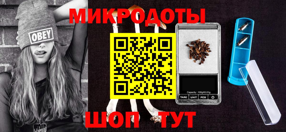 Псилоцибиновые грибы Psilocybe Советский
